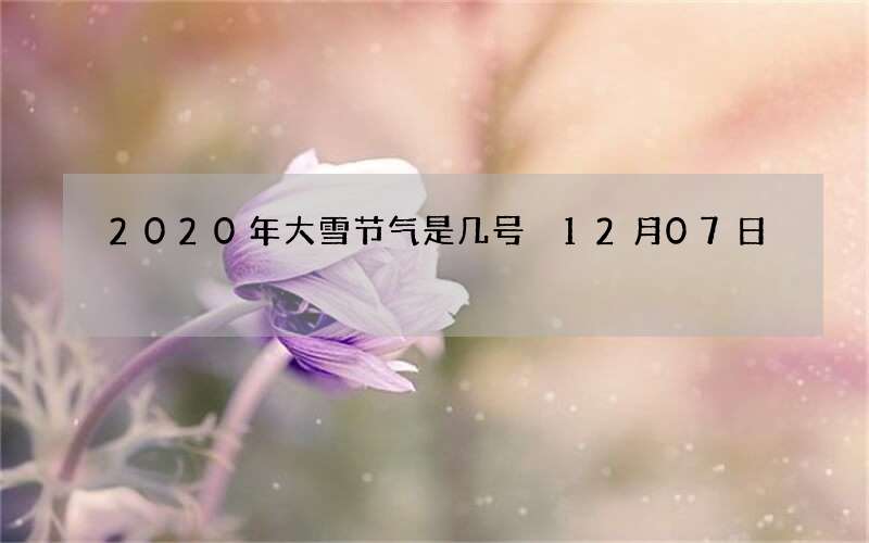 2020年大雪节气是几号 12月07日